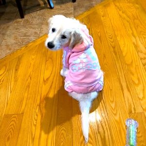 Adidog workout sweatshirt